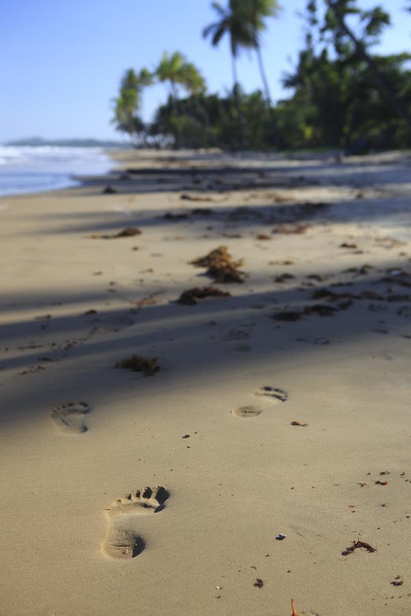 Scotty'S Mission Beach Luaran gambar